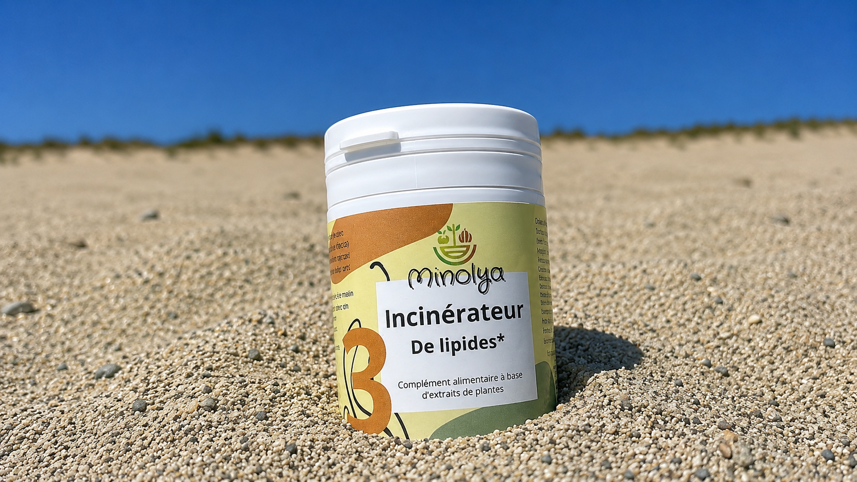 Incinérateur de Lipides Minolya