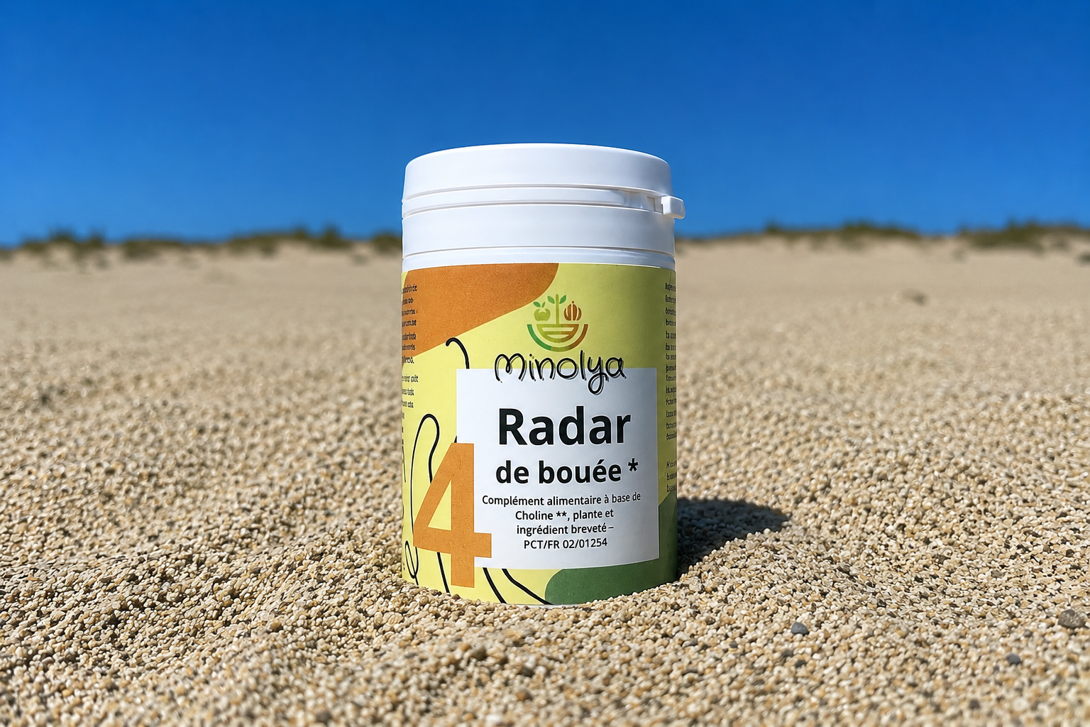 Radar de Bouée Minolya